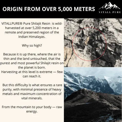 VITALLPURE® Pure Shilajit Resin (60G)