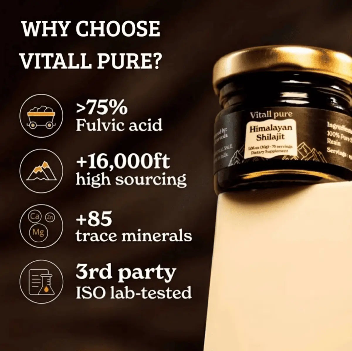 Vitall Pure Shilajit Resin GOLD+