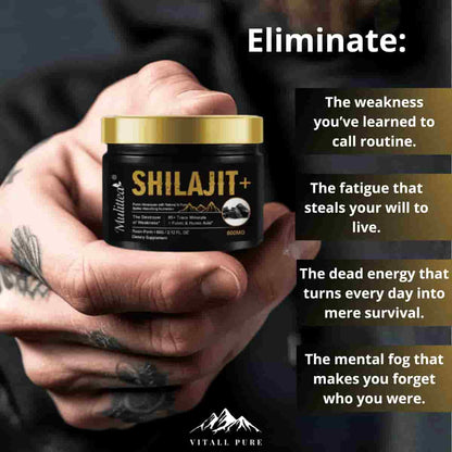 VITALLPURE® Pure Shilajit Resin (60G)