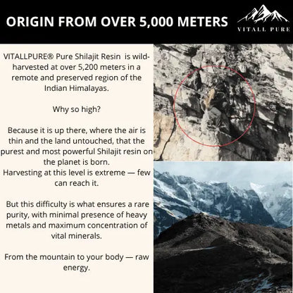 VITALLPURE® Pure Shilajit Resin (60G)
